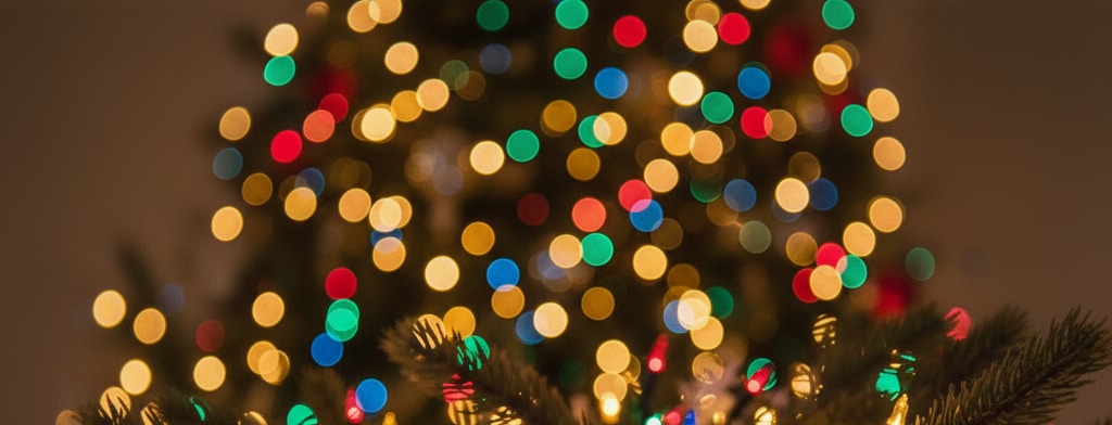 bokeh christmas lights Jackson